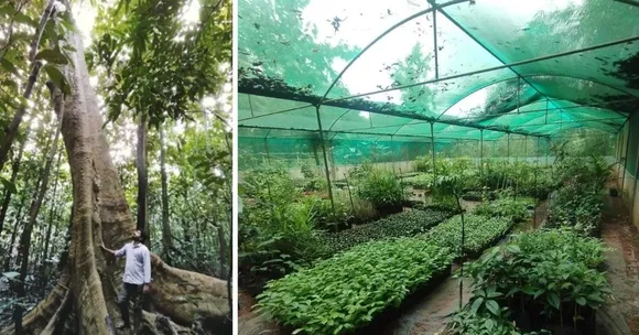 Western Ghats native species