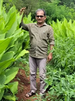 Turmeric Farmer (1)