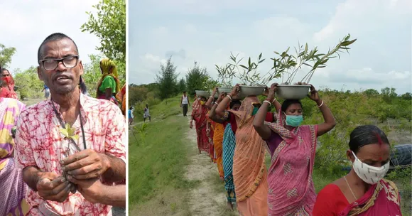 Led by Akul Biswas, 200 homemakers came together to revive mangroves across 23 Sundarbans villages.