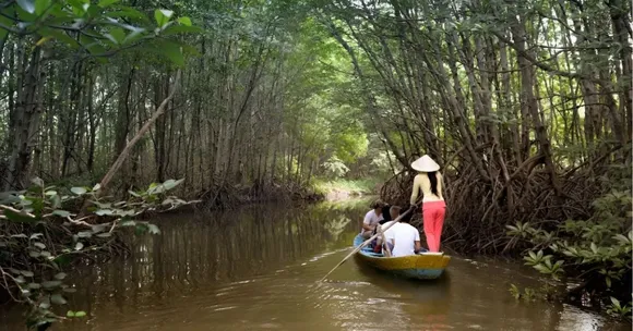 Mangrove Forest representative image