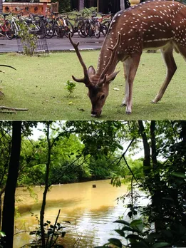 IIT Madras Campus