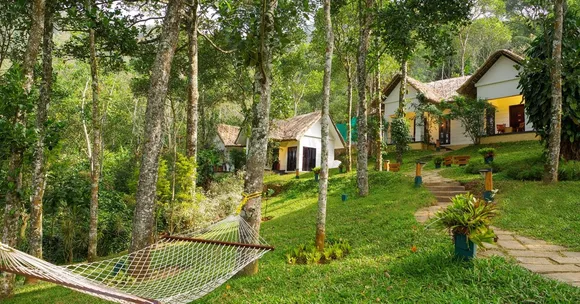 TBI FEATURED IMAGE (9)