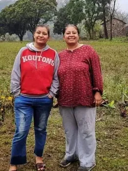 growing amla organically