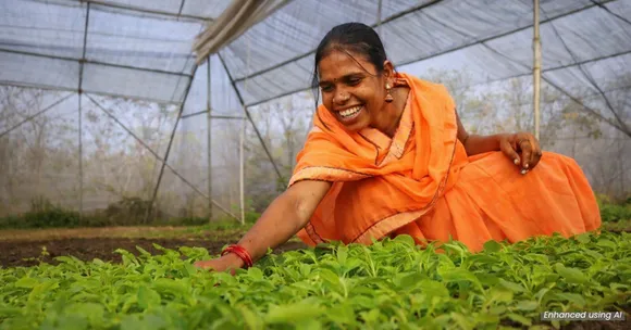 Solar lift irrigation ensures year-round water access for farmers, reducing dependence on the monsoon and enabling climate-resilient farming.