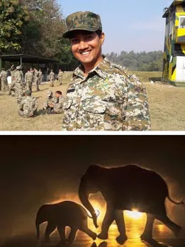 AI Elephant tracking