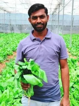 Spinach farming tips