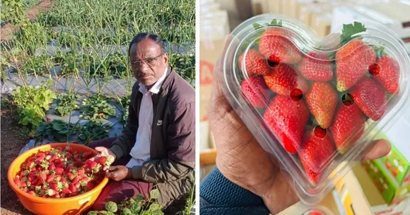 TBI FEATURED IMAGE (31)