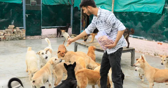 animal shelter delhi