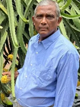 Kerala dragon fruit farmer