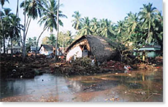 Tsunami Survivors turn Waste Managers