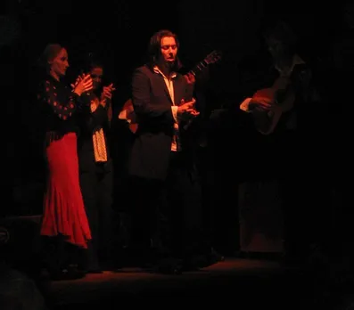 Flamenco Returns to India