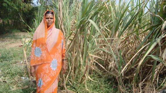 The Sweet Taste Of Success for Indian Women Cane Farmers
