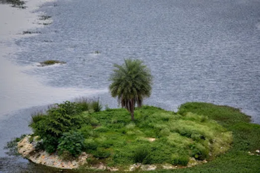 TBI Citizen Initiative: Puttenahalli Lake And Sarakki Lake In Bangalore - Infused With New Life