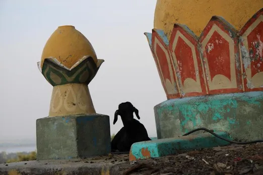 TBI Photo Journeys: The Golden Temple of Jejuri