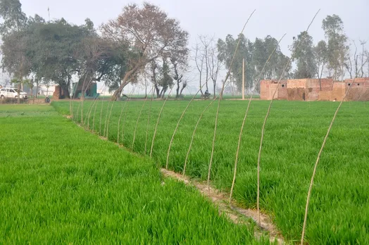 Punjab Invites Investors for Setting up Solar Power Projects on 6000 Acres of Land