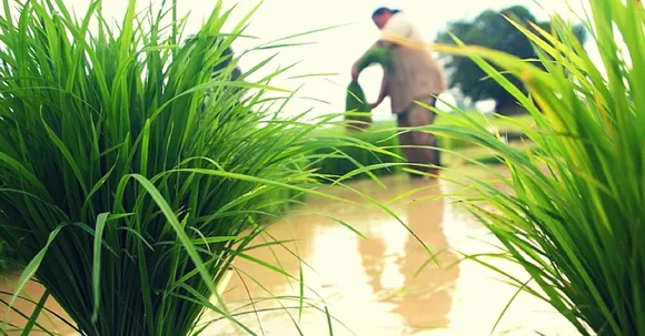 Farmers from a Dry Village in Maharashtra Connect their Wells to Create a Perennial Water Bank