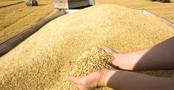 In West Bengal, a Phone Call will tell you the Exact Price of any Crop, In Bengali