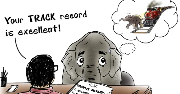 PHOTO STORY: How Many Likes Can an Elephant Get on Facebook? Find Out!