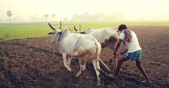Haryana Is Constructing Earthen Dams to Fight Water Deficit in the State