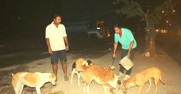 This Couple Found a Surprisingly Simple Way to Tame 120 Aggressive Stray Dogs - Just Feed Them!