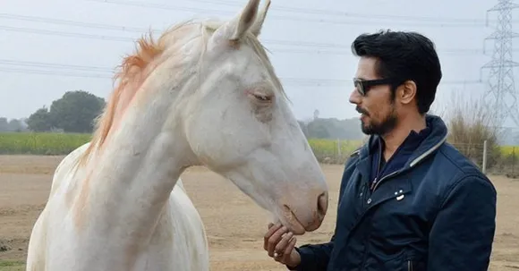 Bollywood Star Randeep Hooda Just Adopted 9 Horses That Were on the Verge of Dying