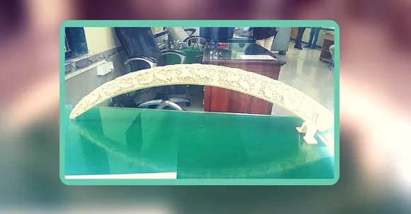 Mumbai Police Seize 100-Year-Old Elephant Tusk Worth Rs. 2 Crore. By Posing as Buyers.