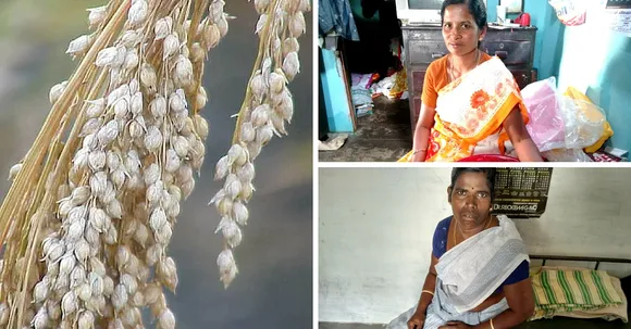 TBI BLOGS: Rural Women Entrepreneurs in Tamil Nadu Sell Millets As Junk Food Alternative