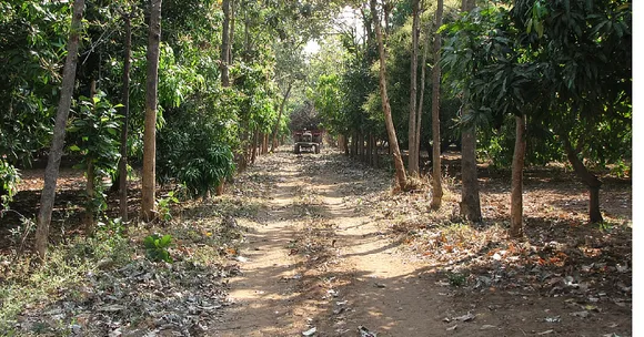 This Woman Forest Officer Covers a Dangerous 20,000 Sq Acre Beat -- Alone and Unarmed