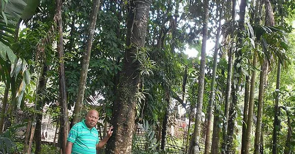 My View: How Agar Oil Is Produced & Can Lead to Economic Empowerment in North East India
