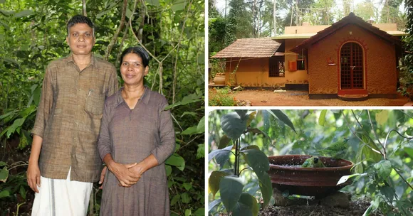 This Couple's Quest for Natural Living Has Resulted in a Mini Forest and an Energy Efficient Home