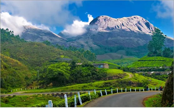 #TravelTales: A Visit to the World's Highest Organic Tea Estate Where Tea Is Still Made by Hand