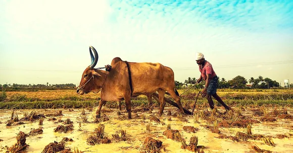 How Two UP Farmers Fought Poverty Tooth and Nail to Give Their Sons a Chance at NLSIU