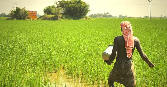 How a District Collector's Software Solution Will Help Farmers Control Urea Use in Visakhapatnam