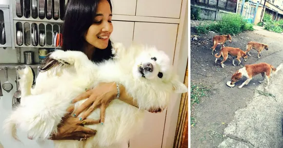This Girl Celebrated Her Dog's 14th Birthday by Treating 70 Street Dogs to the Bash of a Lifetime!
