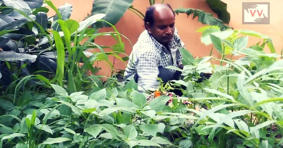 TBI Blogs: How One Man Converted His Drought-Prone Hometown in Rajasthan Into a Green Oasis