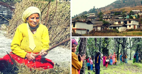 How One Determined Woman Single-handedly Electrified Her Village and Took on the Timber Mafia