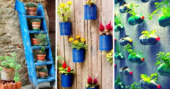 Home Gardens That Require Very Little Space & Time - All You Need to Know About Vertical Gardening!