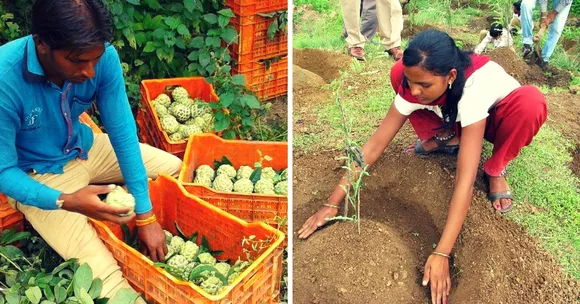 From Growing Its Own Forest to Selling Organic Fruits, This Village Funds Its Own Development
