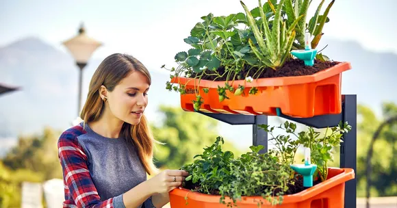 Swooning Over China's Vertical Gardens? Just Grow a Vertical Garden in Your Own Terrace!