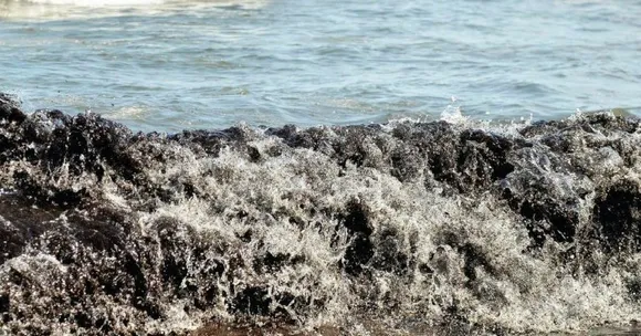 TBI Blogs: Did You Volunteer to Clean up the Ennore Oil Spill? Read This to Know Your Rights