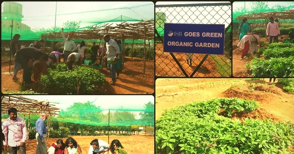 The New Organic Farm at ISB Has Become an Unlikely Stress Buster for Its Students