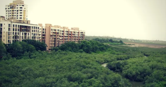 Mumbaikars Come Together to Clean up 20,000kg Trash From City's Beloved Mangroves