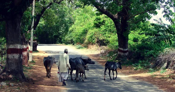 From Fighting Social Evils to Installing Solar Lights. Here's How a Punjab Village Won a National Award