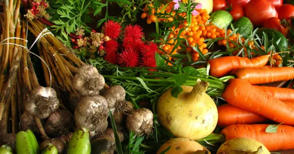 Kerala Agri University Releases a 'Package of Practices' to Simplify & Standardise Organic Farming