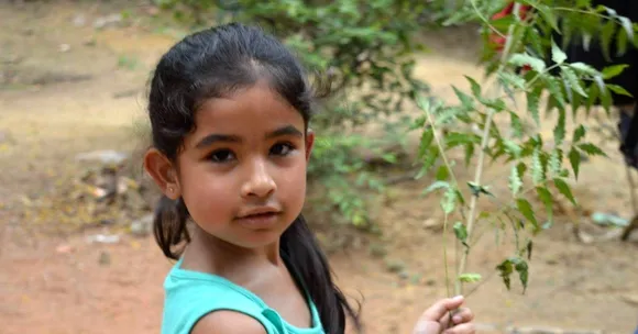These 10 Green Warriors Are Helping the World Breathe Easy by Planting as Many Trees as They Can