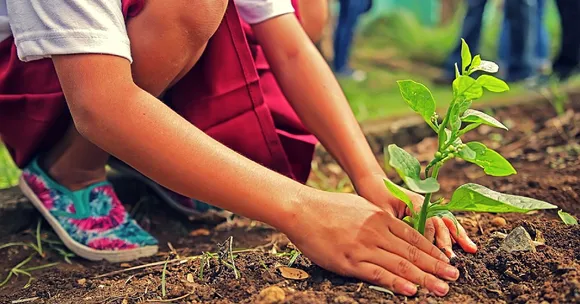 Tracing the Origins of Van Mahotsav, a Week-Long, Nation-Wide Festival That's All About Trees!