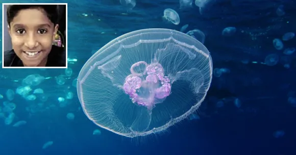 How a 9-Year-Old TN Boy Discovered a Whole New Freshwater Jellyfish Species