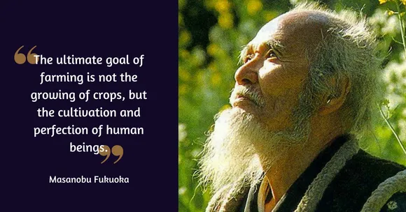 Revolution With One Straw: How One Japanese Farmer Changed Modern Agriculture