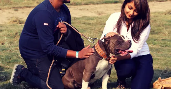 Bengaluru's BBMP Is Registering Pet Dogs This Sunday. Here's All You Need to Know