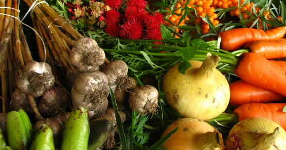 Sajna's Journey from an Assistant Professor to an Organic Farmer